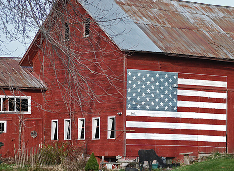 Barn Siding