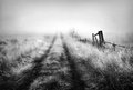 Beyond