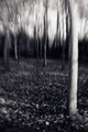 Delerium