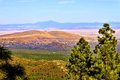 Mingus Mountains