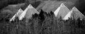 Pyramids Rising