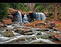 Late Autumn Stream