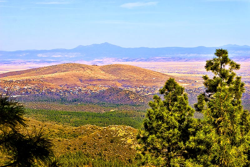 Mingus Mountains