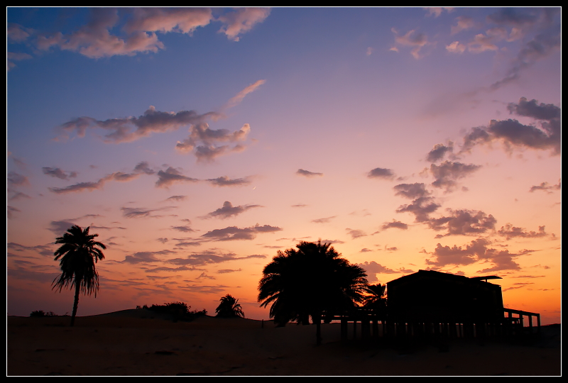 Sunset in the desert