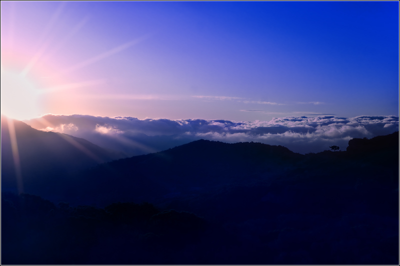 Awakening
