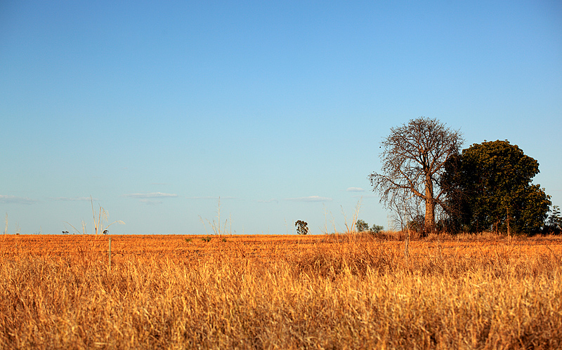 Sunburnt Country   