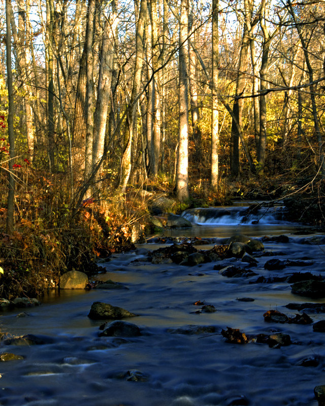 Slipping Into Winter