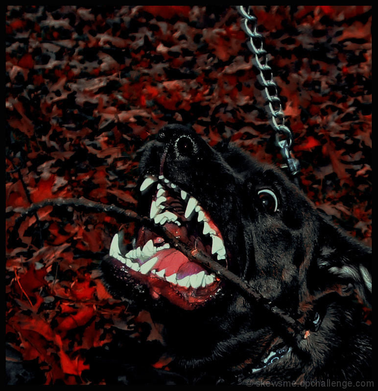Genetically Aggressive