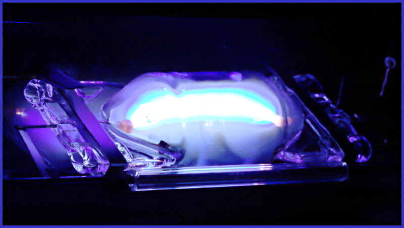 Electric blue light