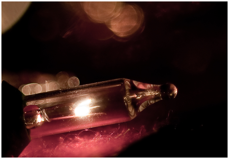 Fairy Light