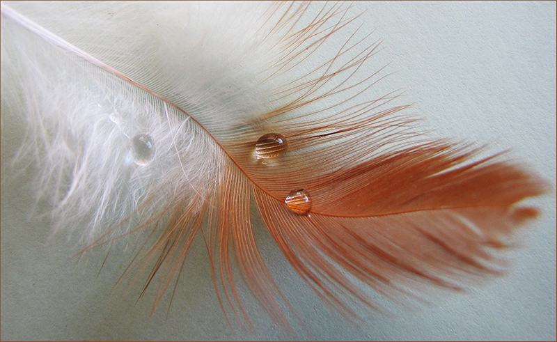 Featherlight