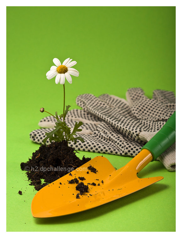 Gardener