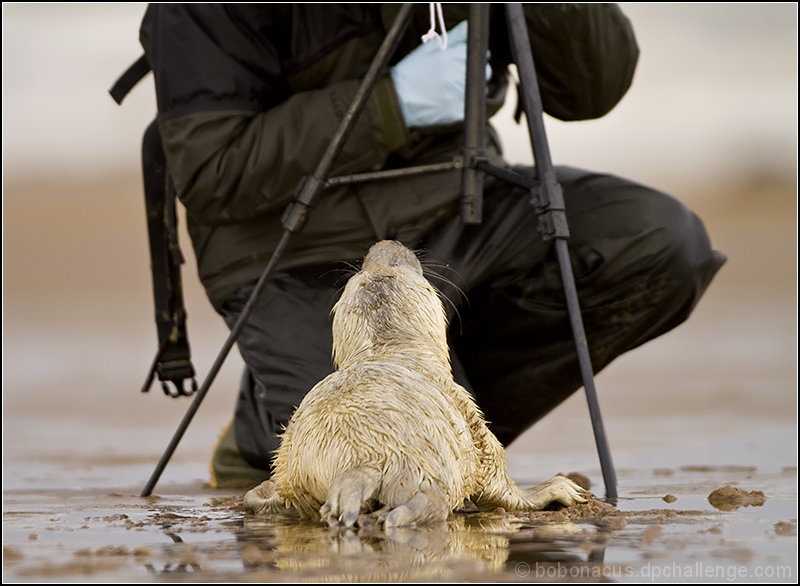 Tools of the trade for wildlife photography; A tripod and a willing model!!