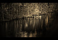 The Little Cabin by the Lake