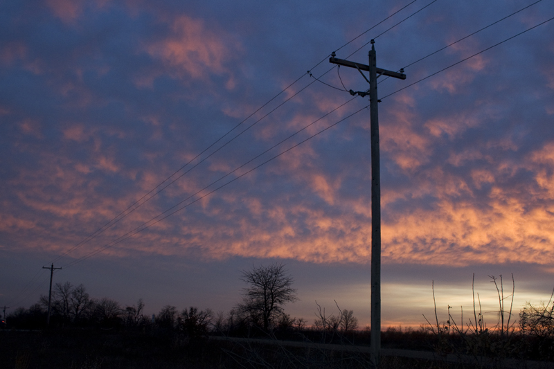 Powerline at dusk