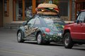 The Rare Burger Bug