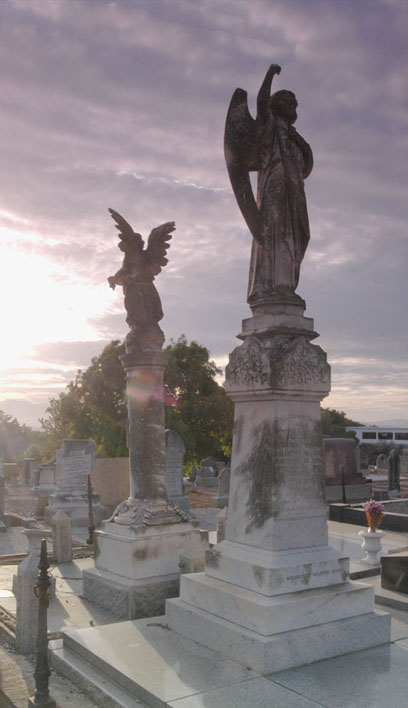 Angels in the morning
