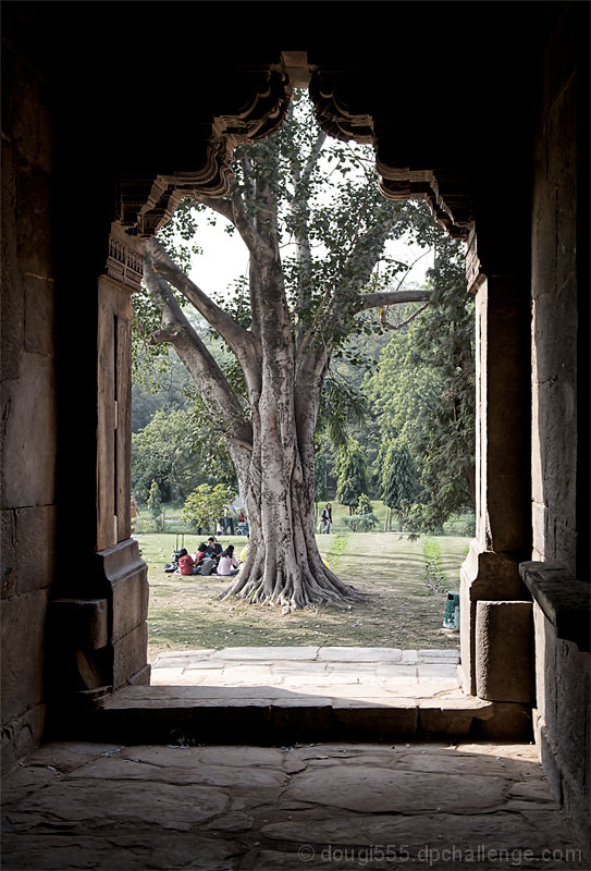 Picnic at the Tree