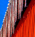 Lines & Colours