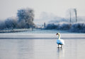"In The Bleak Mid Winter"