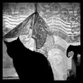 The Elephant in the Room