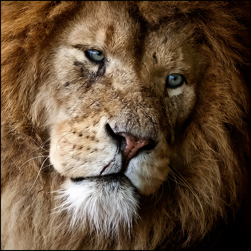 When I Were King