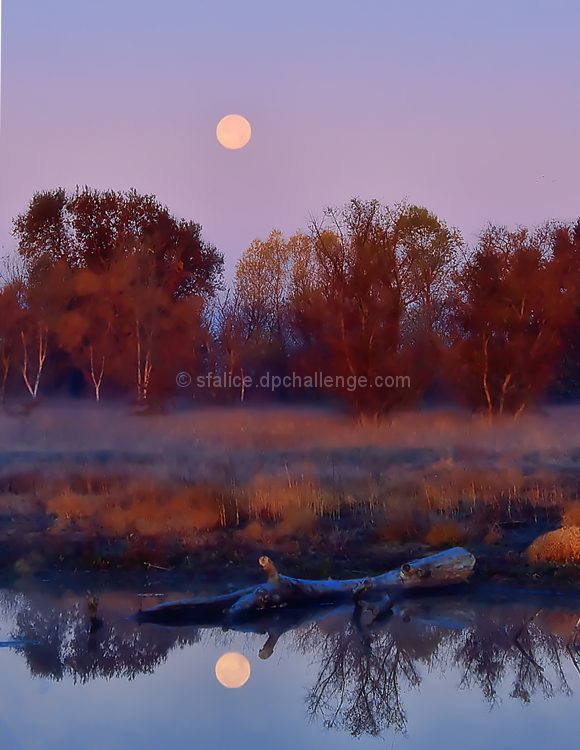 Moon Sets on a Cold Morning