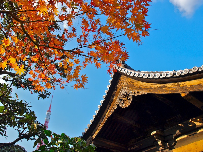 Autumn in Japan