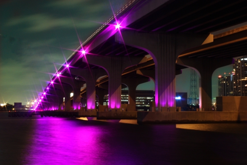 Purple Delight
