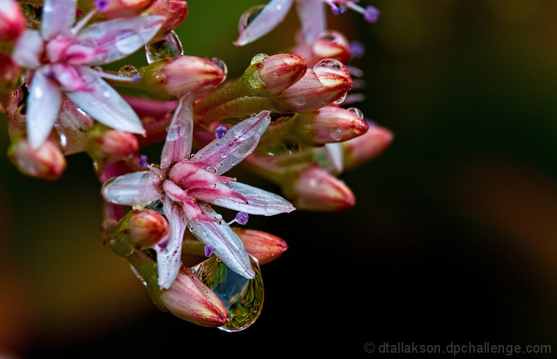 After the Rain