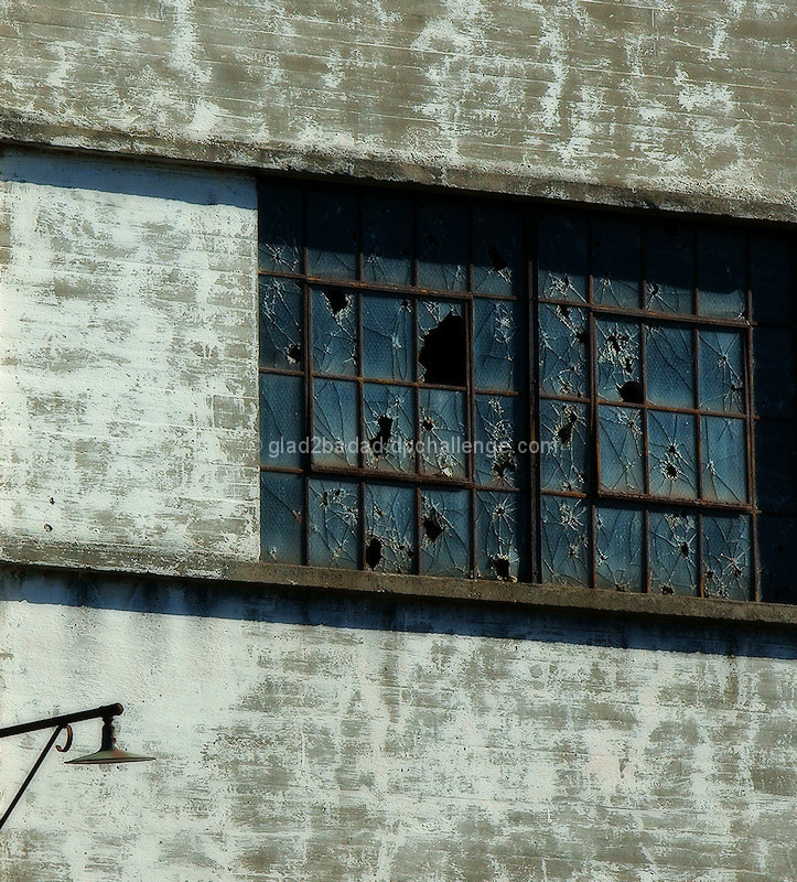 Safety Glass