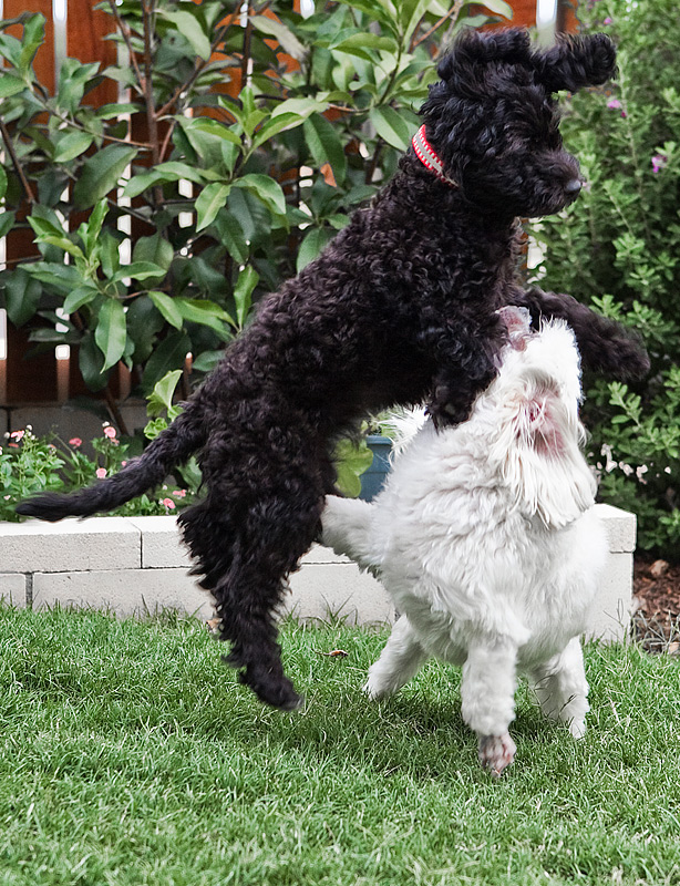 Play date