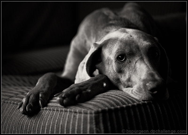 Rainy Day Blues