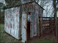 The Old Tin Shed