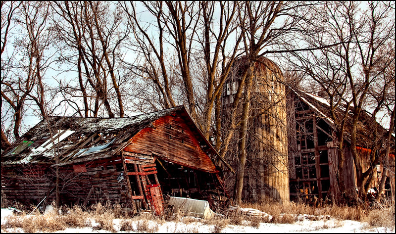 Abandoned to the Snow