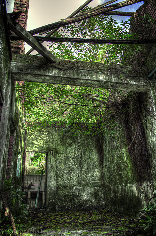 Abandoned Cottage