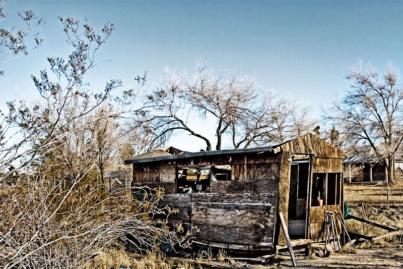 Home Sweet Shed