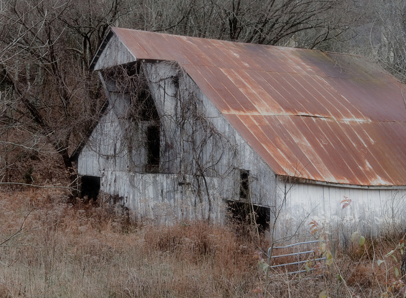 Abandoned Barn