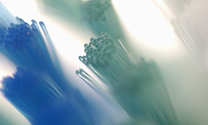 Silicon-based Life Form