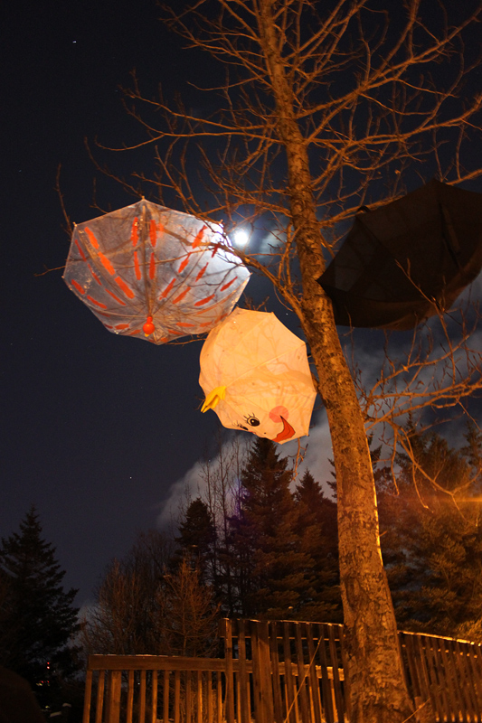 3umbrellas