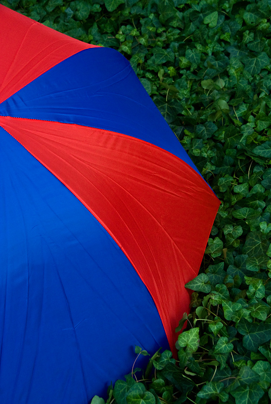 Umbrella and Ivy