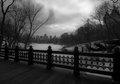 "A Hazy Shade of Winter"