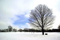A Hazy Shade Of Winter