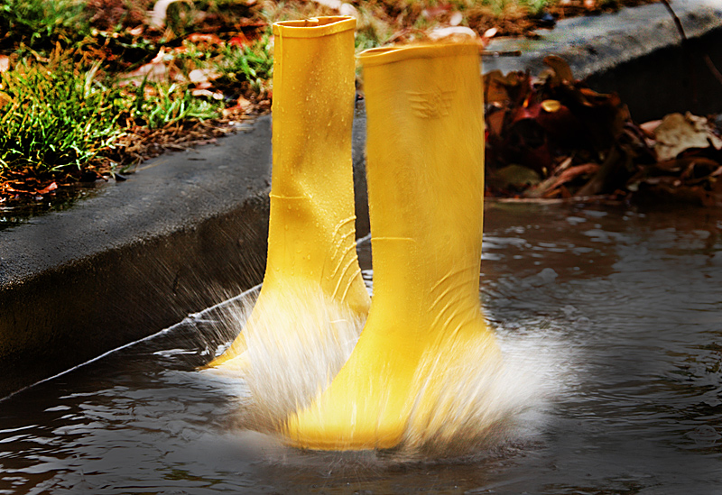 Gumboots