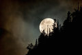 Misty Morning Moon