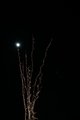 The Moon on New Year´s Eve...
