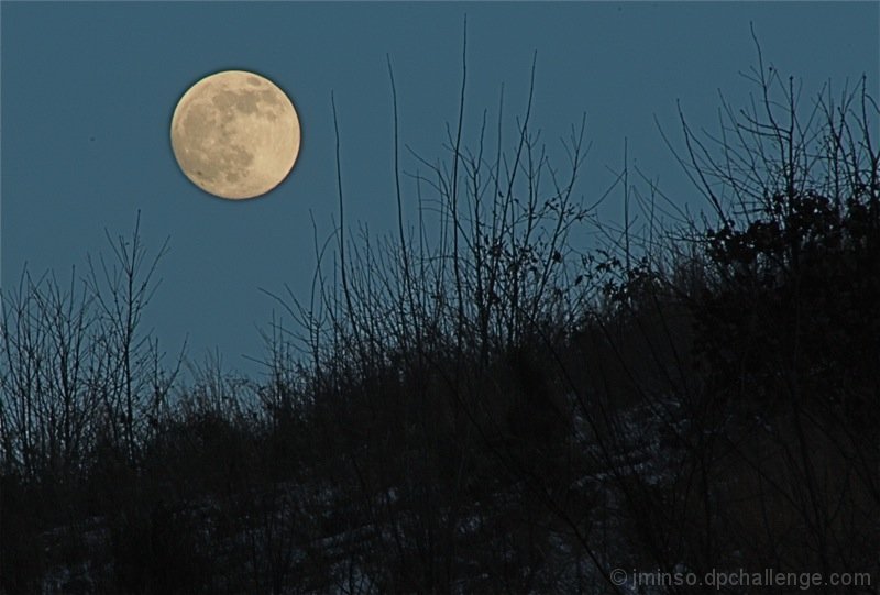 Full moon rising