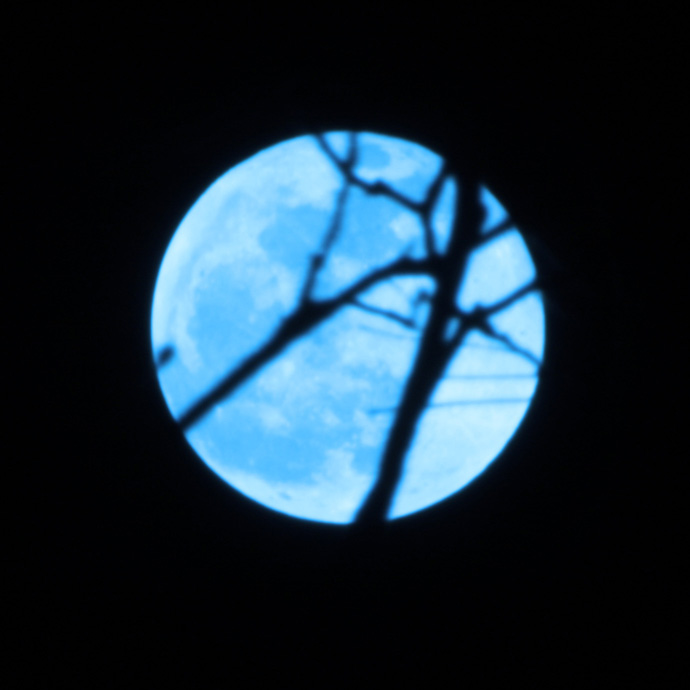 Blue Moon 2009