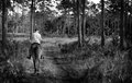 Unseen Florida