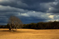 Beneath a Stormy Sky